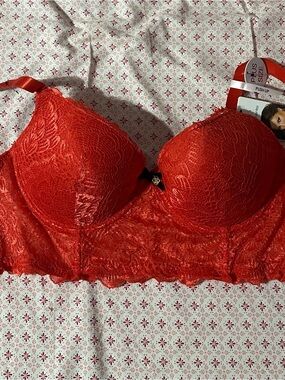 Daisy Fuentes- Crimson Lace Longline Push-Up Bra
